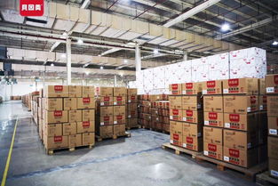 貝因美Hello Kitty紙尿褲代理指南與產(chǎn)品解析